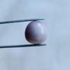 Rare Lavender Quahog Pearl 11mm 10 carats Button Shape