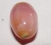 Rare Pink Conch Pearl
