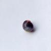 Rare Quahog Baroque 7mm Purple