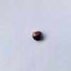 Rare Quahog Baroque 7mm Purple