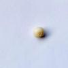 Rare Quahog Beige Roundish 6mm