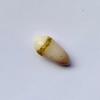 Rare Quahog Drop Shape 16mm 6+ carats