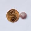 Rare Quahog lavender perfect button shape 9mm 3+ carats