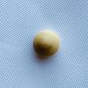Rare Quahog Pearl Button shape 5mm Light Brown