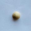Rare Quahog Pearl Button shape 5mm Light Brown