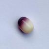 Rare quahog Perfect Oval tri-color purple fading to lavender to white