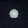 Round Clam Pearl 5.4 ct