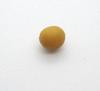 Round Yellow Conch Pearl 5mm