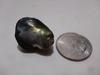 Rounded Teardrop Abalone Pearl 45 Carats