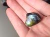 Rounded Teardrop Abalone Pearl 45 Carats