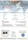 Salt Water Natural Dark Brown Pearl Earrings - Certificate