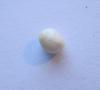 Scallop Pearl Brownish White 5mm