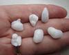 Six Baroque Natural Clam Pearls for Sale 36+ carats Total