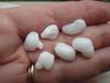 Six Baroque Natural Clam Pearls for Sale 36+ carats Total