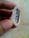 Small Abalone Blister Pearl