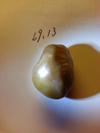 Spiny Oyster Pearl 69.13 carats