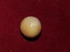 16.69 carats Spiny Pearl