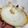 Spondylus Blister Pearl