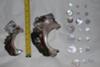 An example of our conch shells, buttons, and button blanks