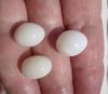 Three Exceptional Egg Shaped Clam Pearls 26+ Carats Total
