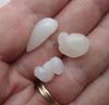 Three Translucent Natural Clam Pearls 23+ carats Total for Sale