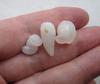 Three Translucent Natural Clam Pearls 23+ carats Total for Sale