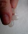 Three Translucent Natural Clam Pearls 23+ carats Total for Sale