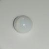 Tiny Clam Pearl 1.2 ct