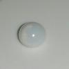 Tiny Clam Pearl 1.2 ct