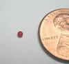 Tiny Round Red Conch Pearl 1mm