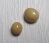Two Beige Conch Pearls