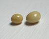 Two Beige Conch Pearls