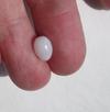 Two Carat Oval Clam Pearl with Silky Flame