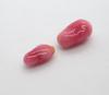 Two Pink Conch Pearls Baroque Shape 2+ Carats Total