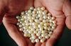 Cultured Pearls from UAE