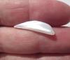 USA Natural Freshwater Pearl Spike 25mm 2+ carats