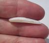USA Natural Spike 6+ carats Freshwater Pearl 28mm