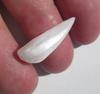 USA Natural Spike Freshwater 5+ carat Pearl