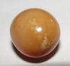Very Rare  Brown Conch Pearl