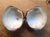 Quahog pearl found