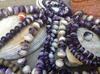 Wampum beads from Quahog