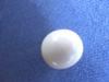 Quahog pearl