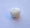 White 6mm Scallop Pearl for Sale