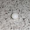 White Clam Pearl  1.65 ct