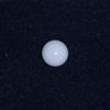 White Clam Pearl  1.65 ct