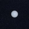 White Clam Pearl  1.65 ct