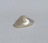 0.25 carat White Cone Shaped Abalone Pearl for Sale