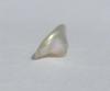 0.25 carat White Cone Shaped Abalone Pearl for Sale