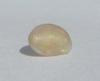 0.25 carat White Cone Shaped Abalone Pearl for Sale