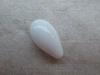 White Drop Clam Pearl